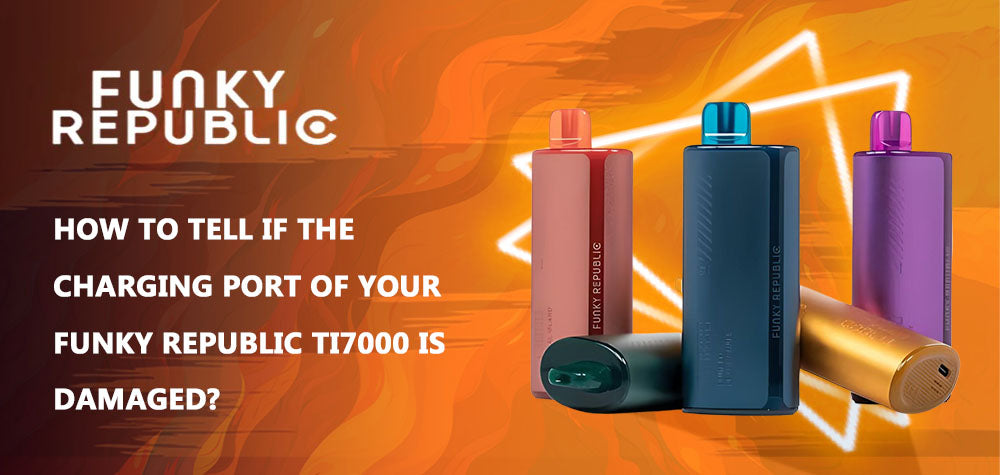 How To Tell If The Charging Port of Your Funky Republic Ti7000 Is Damaged?