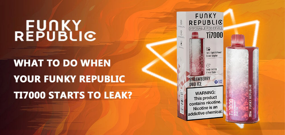 What To Do When Your Funky Republic Ti7000 Starts To Leak?