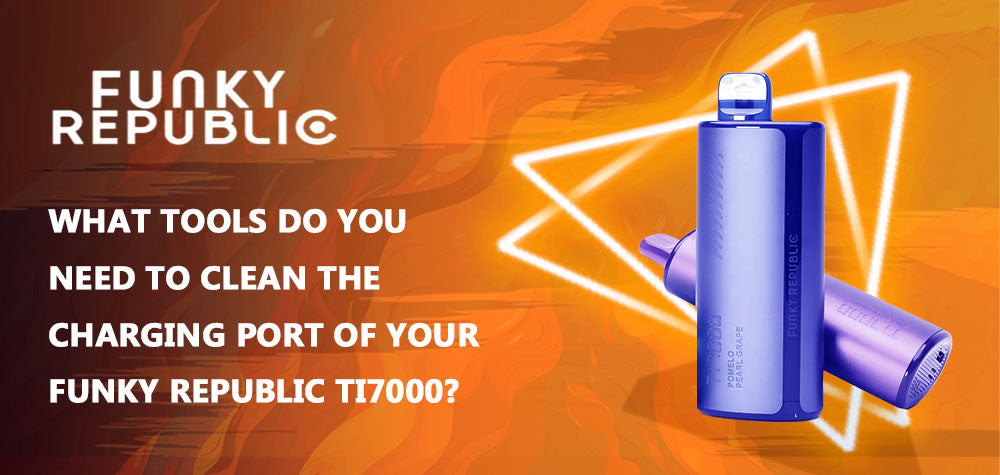 What Tools Do You Need To Clean The Charging Port of Your Funky Republic Ti7000?