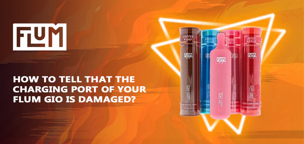How To Tell That The Charging Port Of Your Flum Gio Is Damaged?