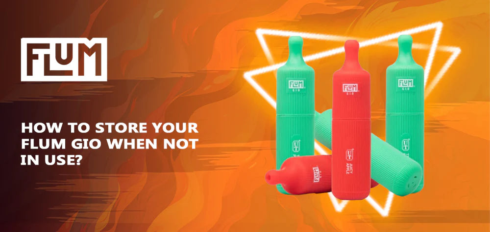 How To Store Your Flum Gio When Not In Use?