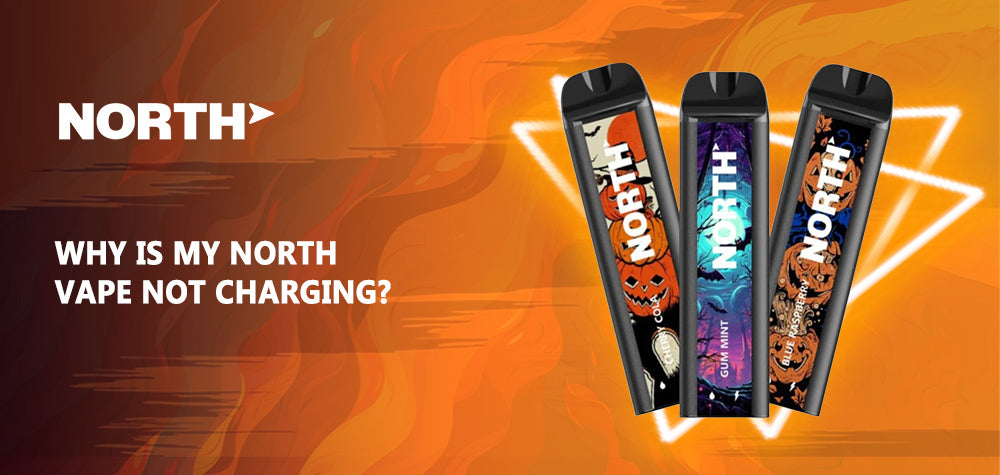 Troubleshooting Guide: Why is My North Vape Not Charging?