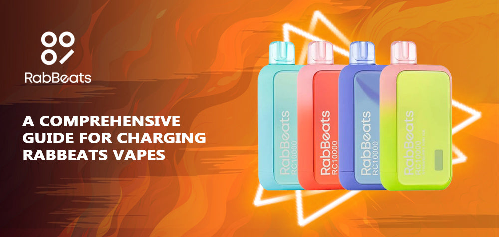 A Comprehensive Guide for Charging RabBeats Disposable Vape
