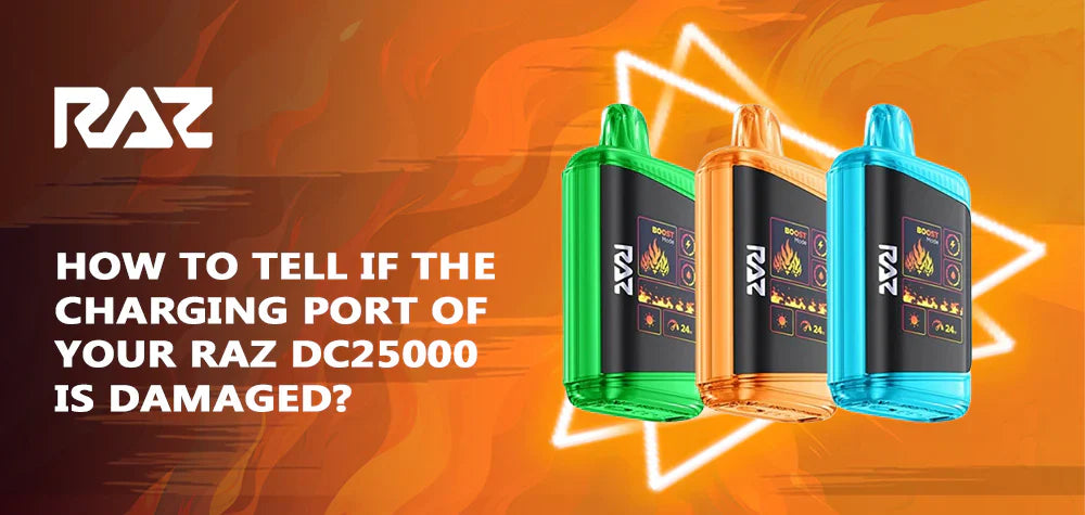 How To Tell If The Charging Port Of Your Raz DC25000 Is Damaged?