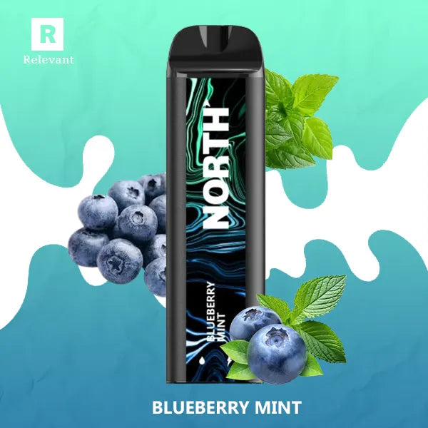 North 5000 Blueberry Mint Flavor - A Refreshing Vaping Fusion North 5000 Blueberry Mint Flavor - A Refreshing Vaping Fusion