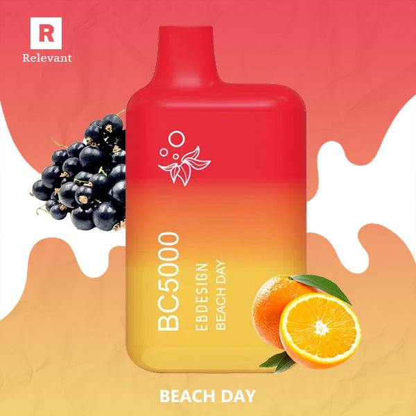 BC5000 Beach day