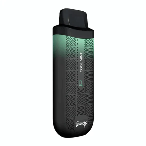 Juucy Model QS Cool Mint