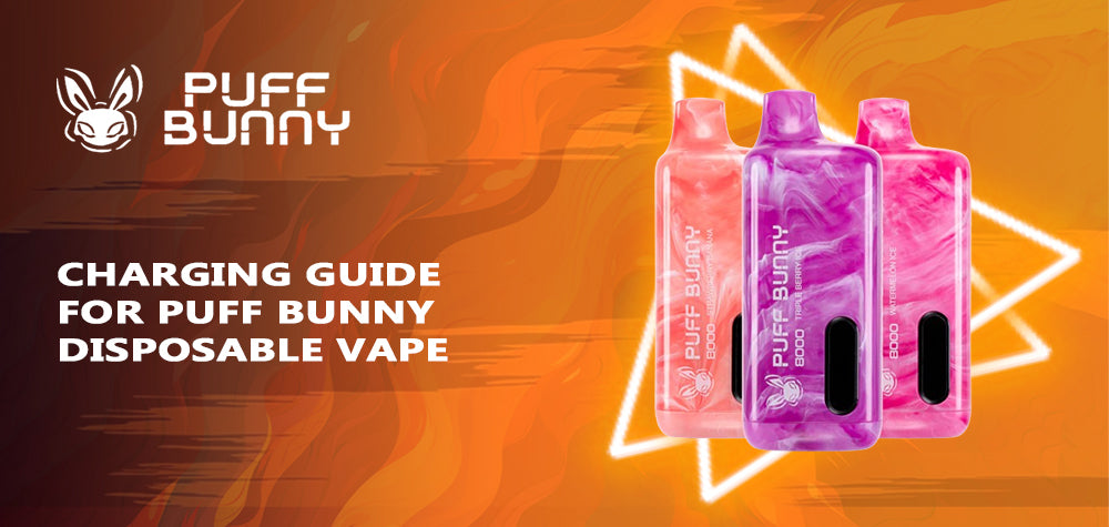 Charging Guide for Puff Bunny Disposable Vape: Ensuring Endless Enjoyment
