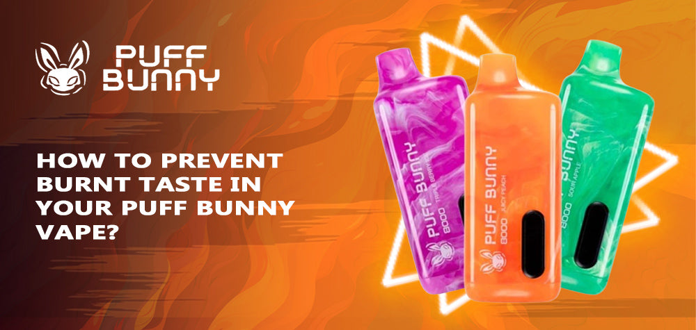 How to Prevent Burnt Taste in Your Puff Bunny Vape?