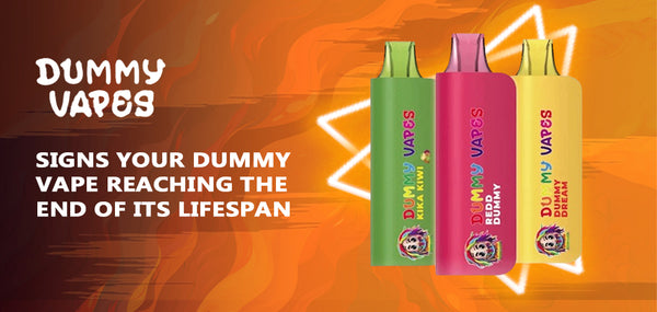 dummy vapes flavors Dummy Vapes 8000 Disposable: Authentic & Long-lasting main image 1